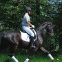 I Z C < > ; F a v o r i t e n ;